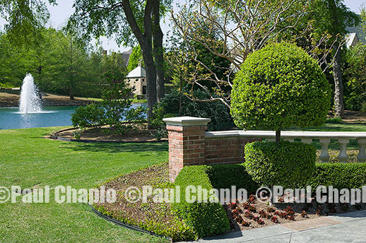 garden landscape architecture digital photographers Dallas, TX Texas Architectural Photography garden design