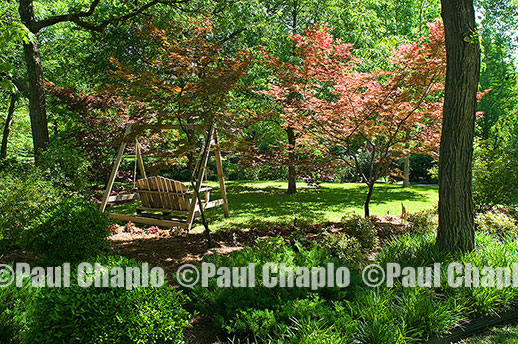 SWING FURNITURE garden landscape architecture digital photographers Dallas, TX Texas Architectural Photography garden design