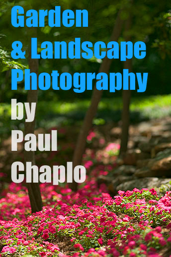 garden landscape architecture digital photographers Dallas, TX Texas Architectural Photography garden design